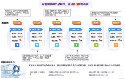華為云云耀云服務(wù)器l實例評測 企業(yè)項目最佳實踐之華為云耀云服務(wù)器l實例介紹 三 企業(yè)會員積分管理服務(wù)